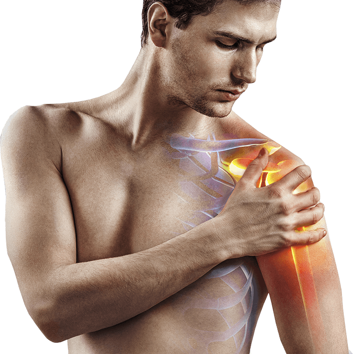 Anatomski prikaz tijela