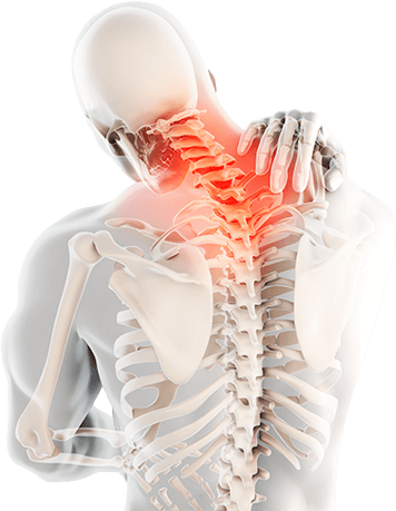 Anatomski prikaz tijela